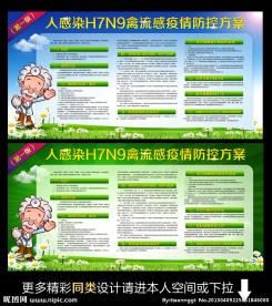 禽流感宣传板报