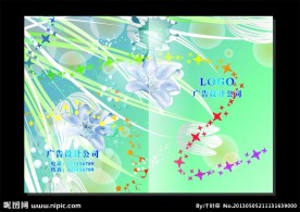 闪光蓝花 美容画册封