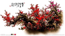 铁骨寒梅（通道分层）