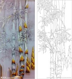 金竹 竹子 金丝竹