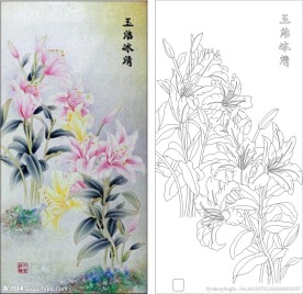 玉洁冰清 百合花