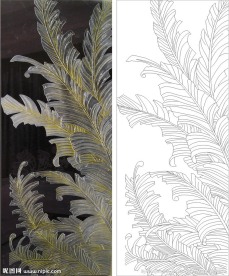 芭蕉叶 铁树 叶子