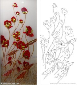 郁金香 紫荆花 红花