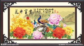 花开富贵