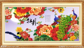 牡丹花