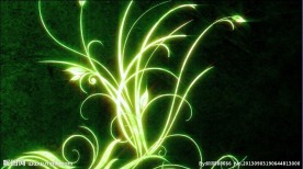 花纹绿色魔幻光影视频