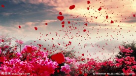 映山红民歌红歌视频