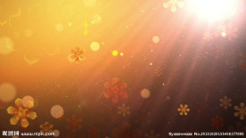 飘动的粒子花视频