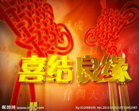 婚礼视频素材下载 婚