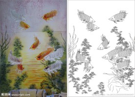 金龙鱼 水草 鱼