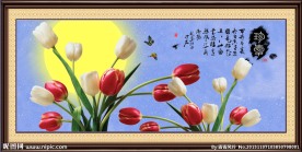 郁金香