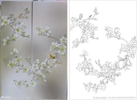 玉兰花 小鸟 兰花