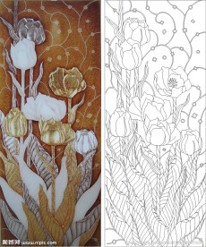 金色花 线条图 郁金