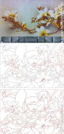 玉兰花 兰花 玉兰