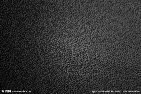皮革 黑色