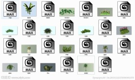 max植物模型