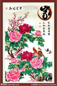 花开富贵