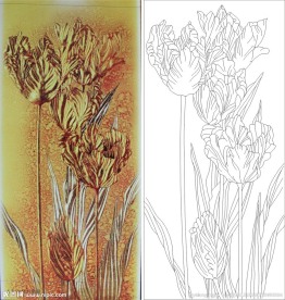 金色花 抽象花 线条