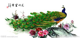 牡丹孔雀