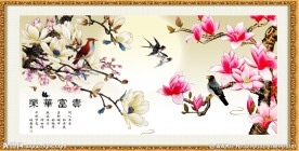 玉兰花