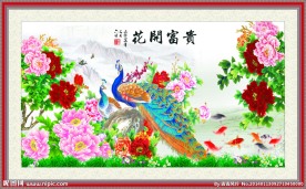花开富贵
