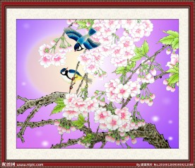 花鸟图
