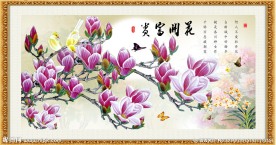 玉兰花