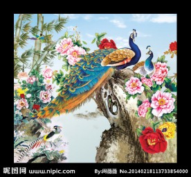 孔雀牡丹图