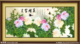 牡丹花 花开富贵