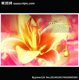 百合装饰画