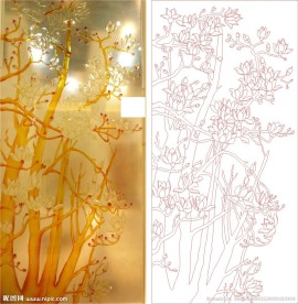 玉兰花开 玉兰树