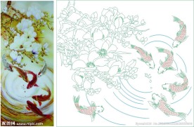 玉兰鱼 六鱼图 如意