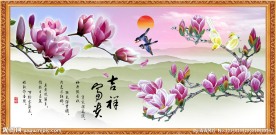 玉兰花
