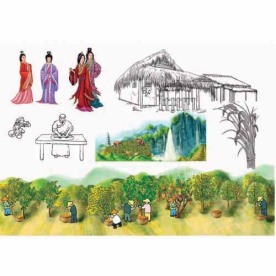 大乔 小乔 草屋 蜂