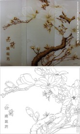 玉兰 满廷芳 玉兰花