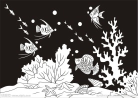 热带鱼 水草鱼 海洋