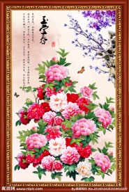 牡丹花 花开富贵