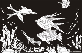 水草鱼 热带鱼 海底