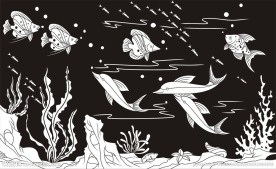 水草鱼 热带鱼 海底