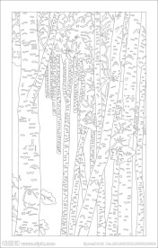 白桦林(未闭合路径)