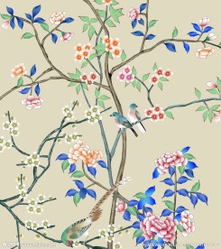 花鸟 高清 壁纸