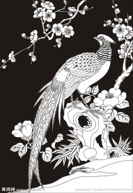 锦鸡 梅花 假山