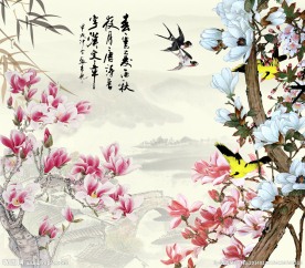 中堂画 玉兰花