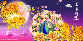 花开富贵