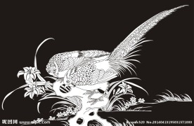 锦鸡 兰花 假山