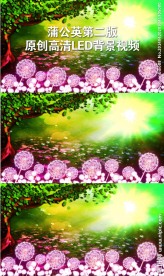 蒲公英动态背景视频