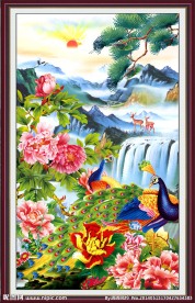 花开富贵