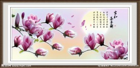 国画玉兰花
