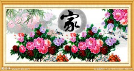 牡丹花