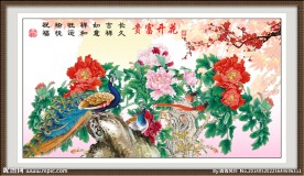 牡丹花 花开富贵